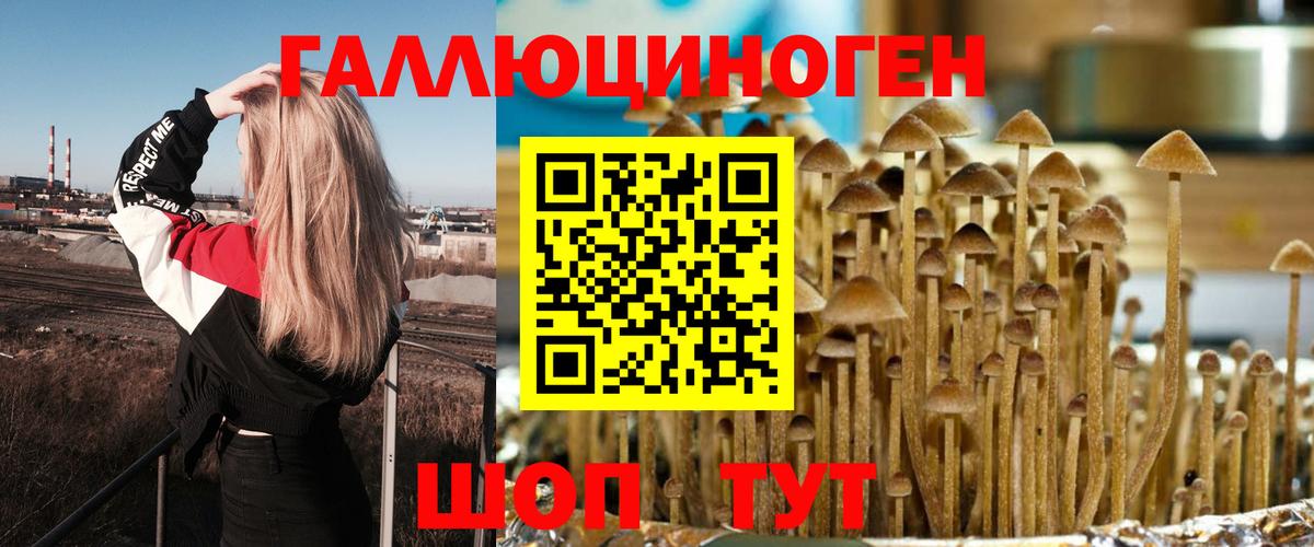 Галлюциногенные грибы ЛСД Тельмана