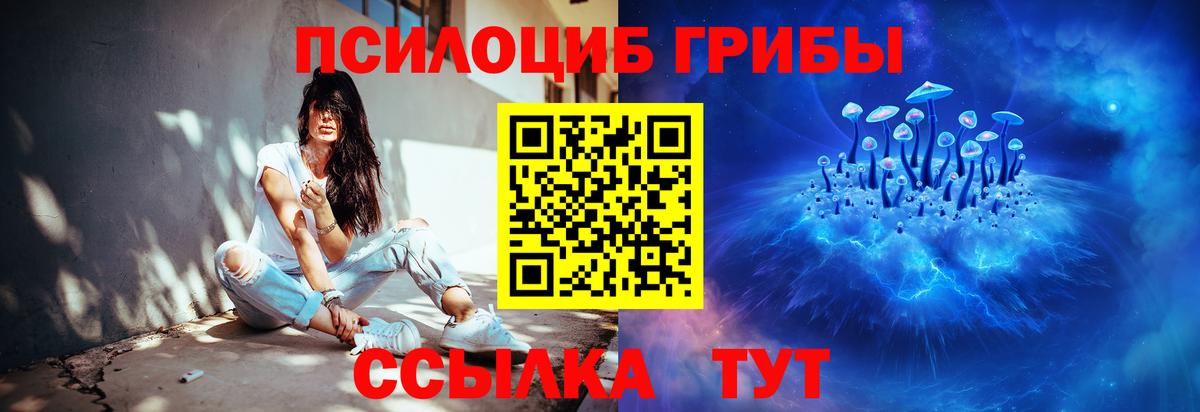 Тельмана  Псилоцибиновые грибы Psilocybine cubensis  Вход с VPN 